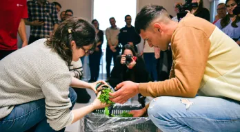 agregar descripción de la imagen