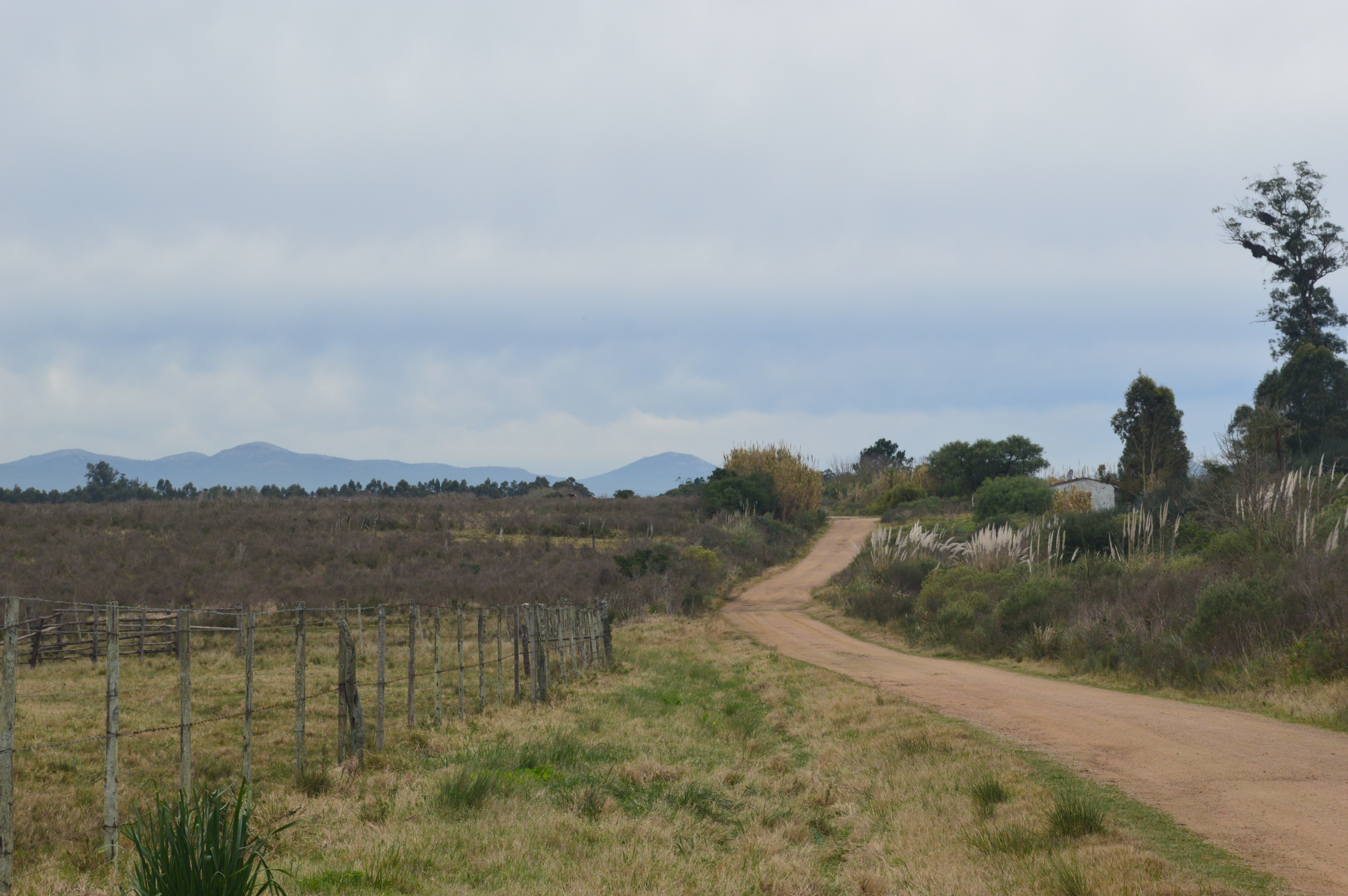camino rural camino rural