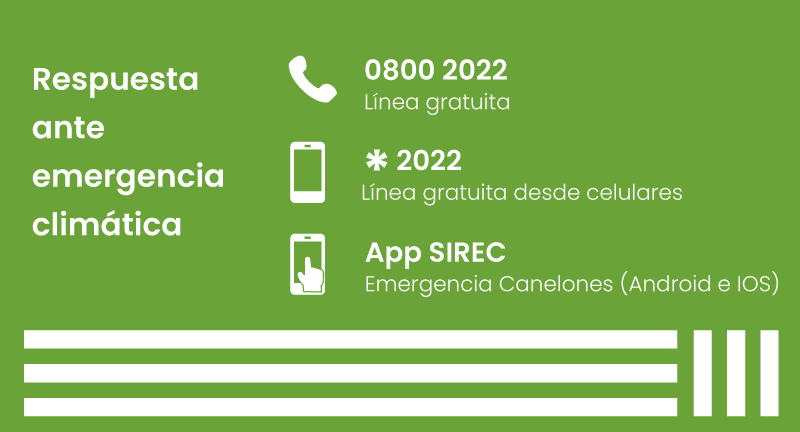 Texto descriptivo de la imagen