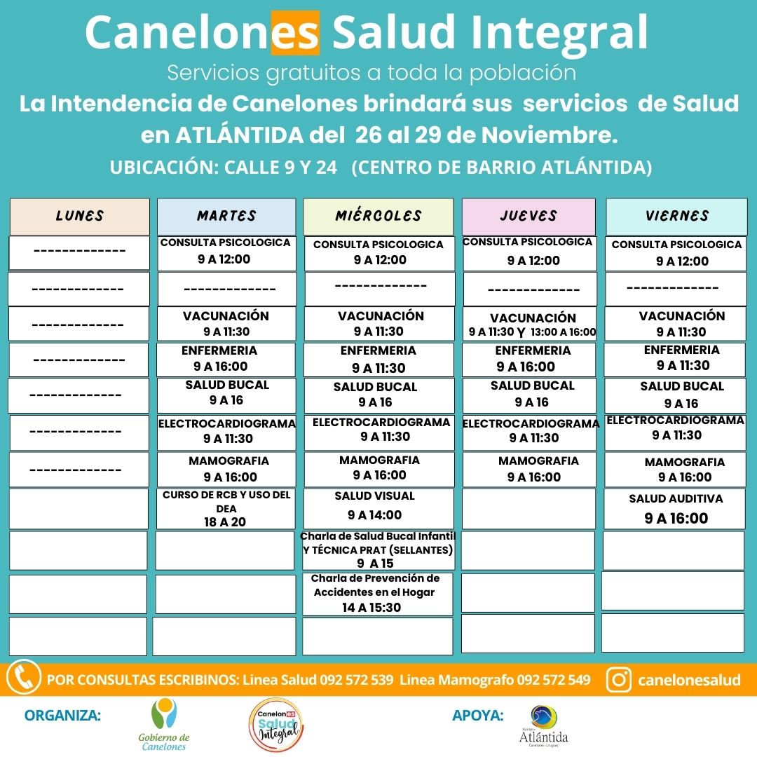 Texto descriptivo de la imagen