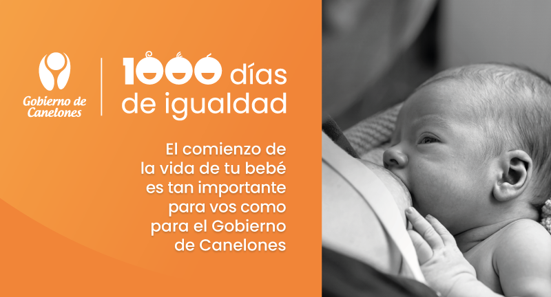Texto descriptivo de la imagen