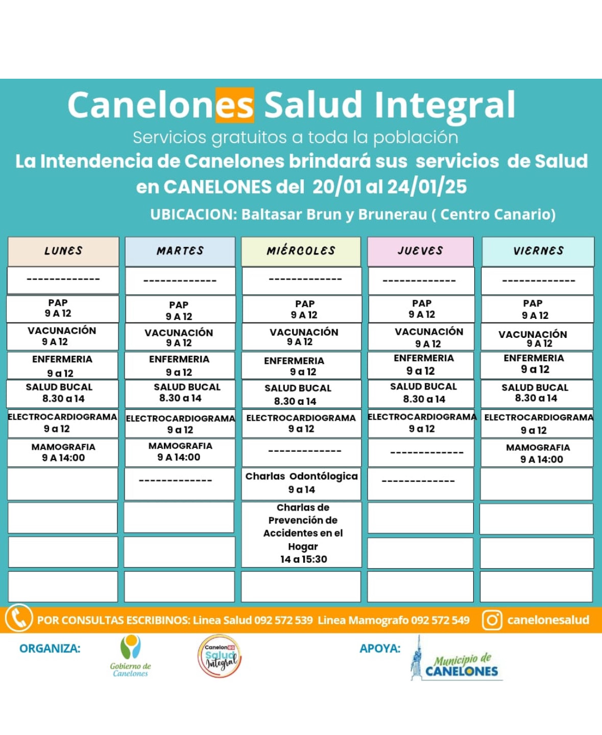 Texto descriptivo de la imagen