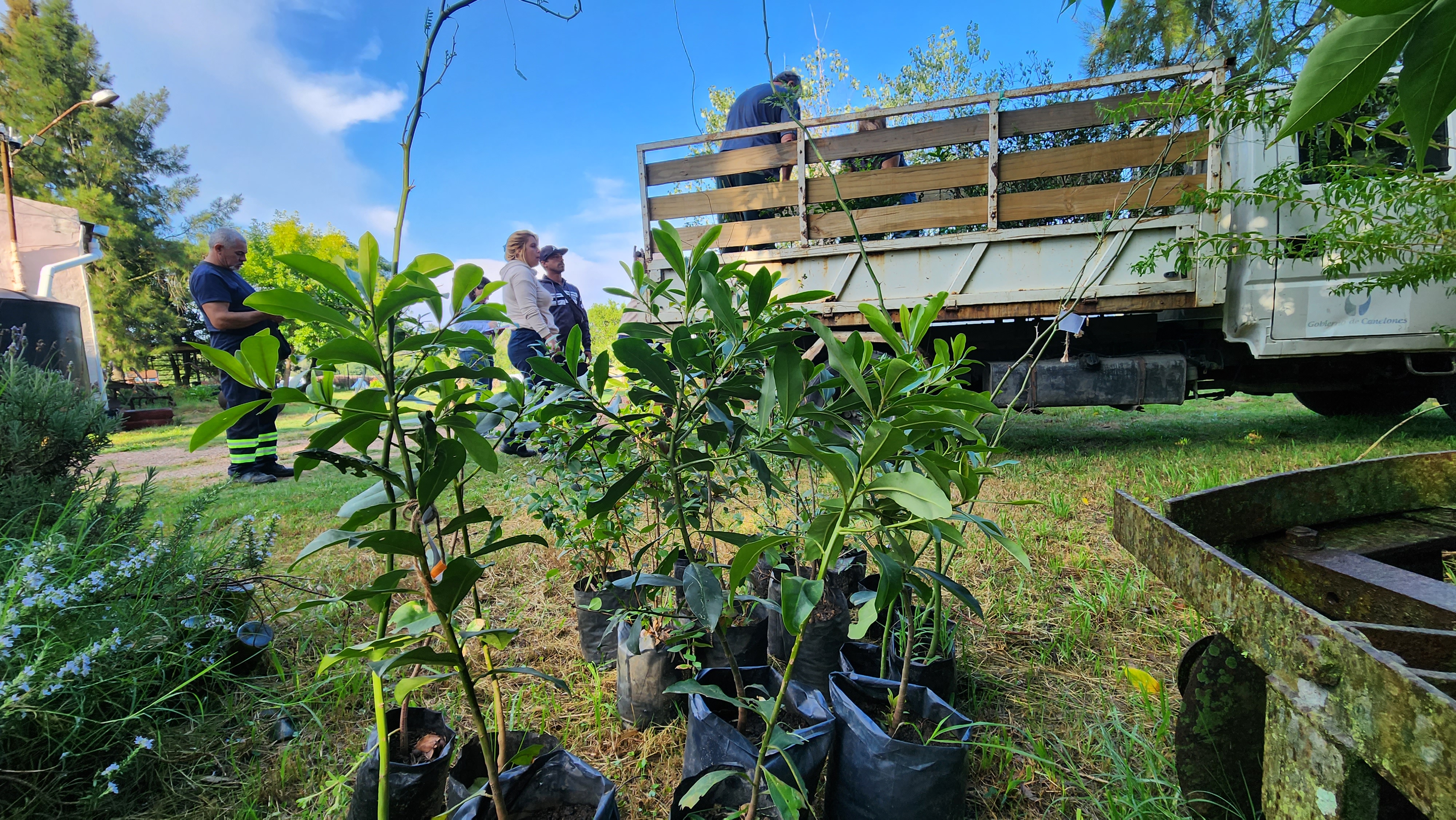 Intendencia de Canelones entrega árboles nativos a productores de la cuenca del río Santa Lucía
