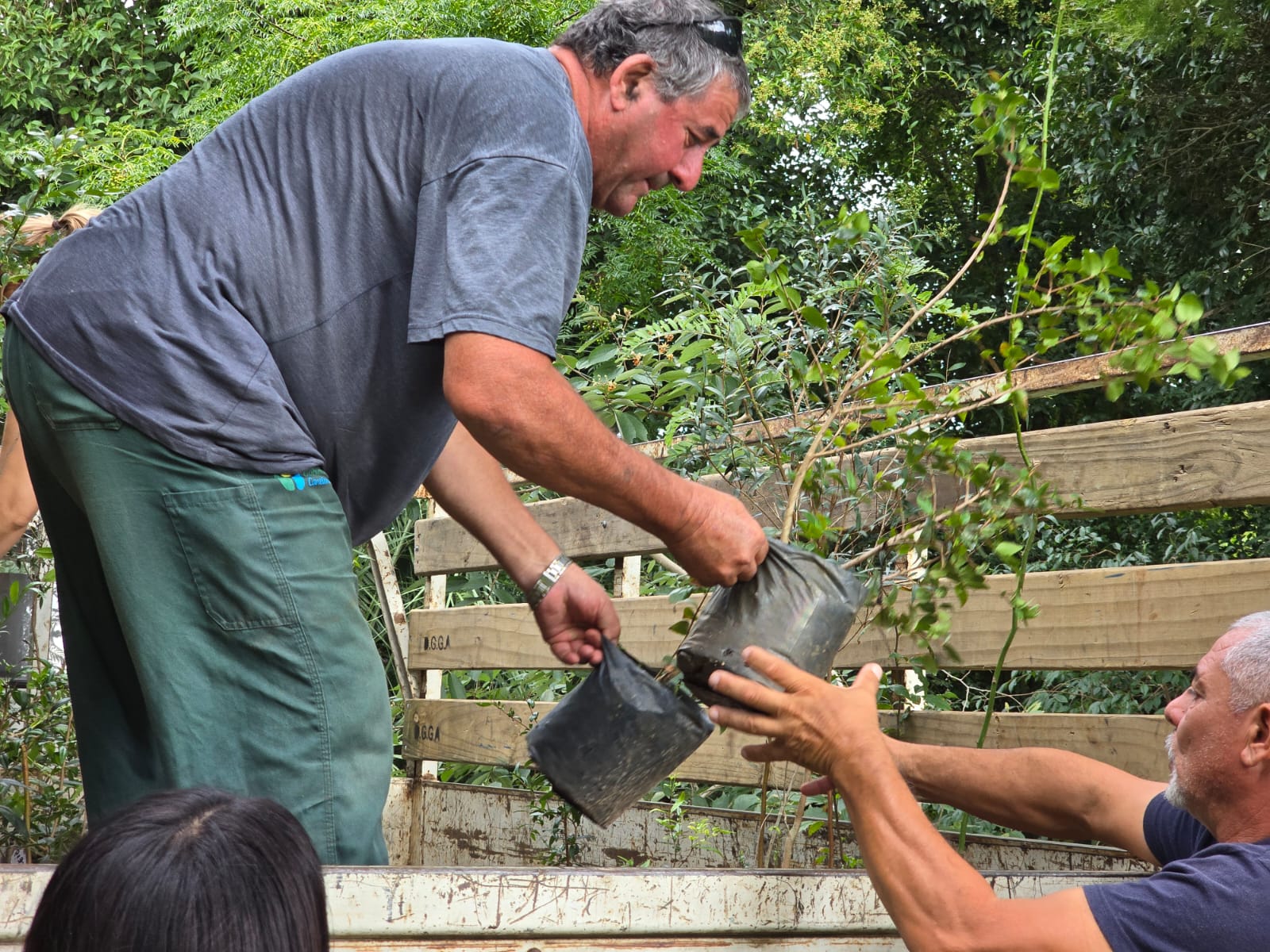 Intendencia de Canelones entrega árboles nativos a productores de la cuenca del río Santa Lucía