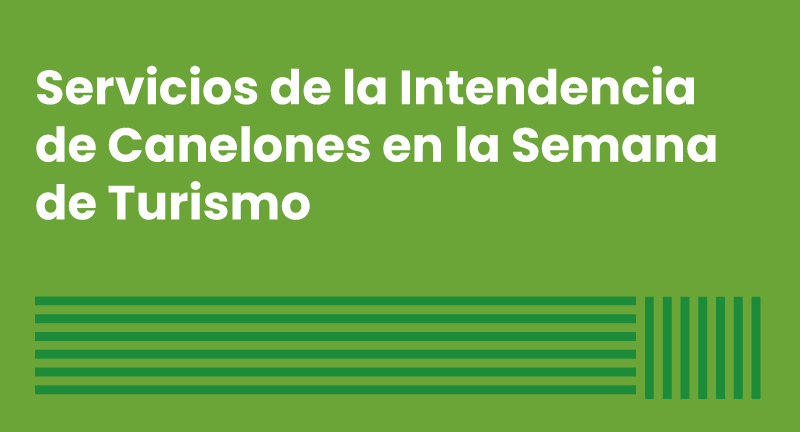 Texto descriptivo de la imagen