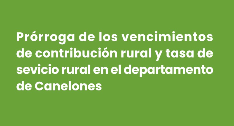 Texto descriptivo de la imagen