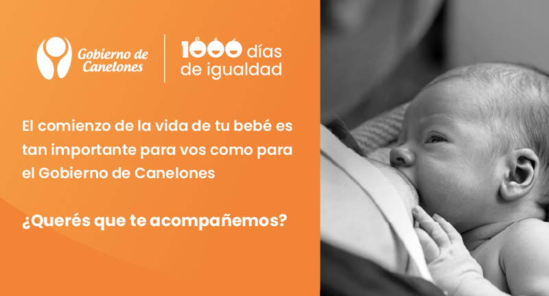 Texto descriptivo de la imagen
