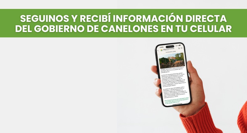 Texto descriptivo de la imagen