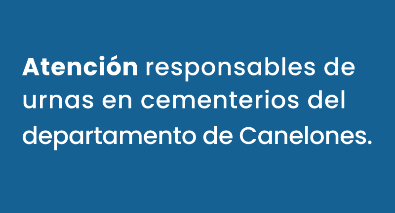 Texto descriptivo de la imagen