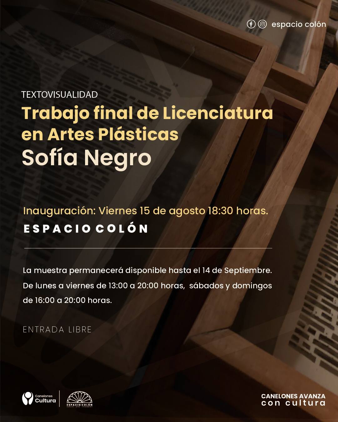 Texto descriptivo de la imagen