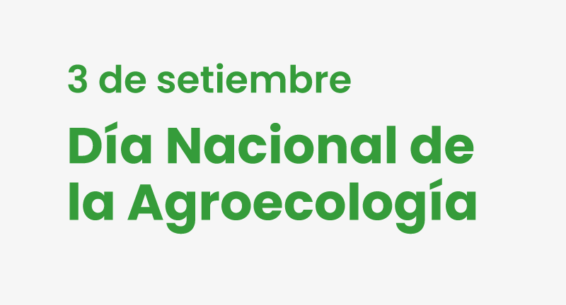 Texto descriptivo de la imagen