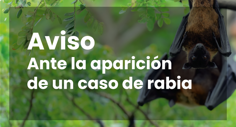 Texto descriptivo de la imagen