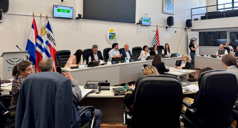 Texto descriptivo de la imagen