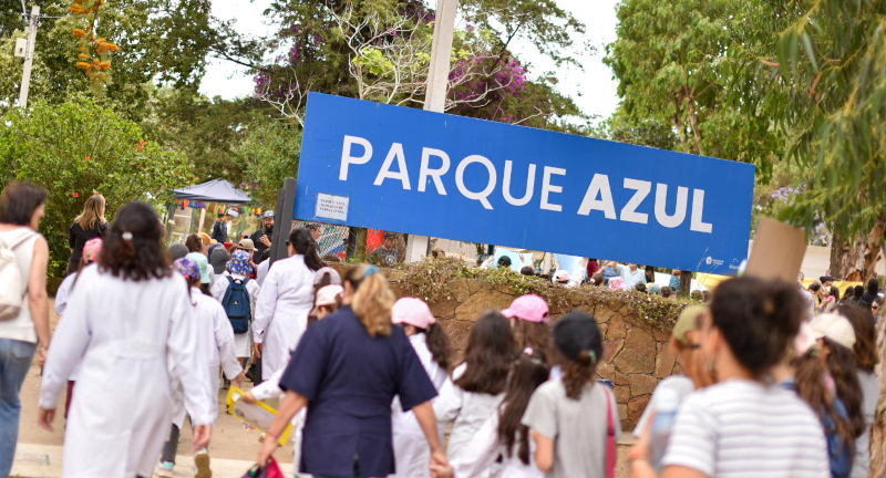 Texto descriptivo de la imagen