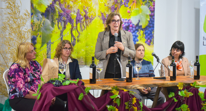 Texto descriptivo de la imagen