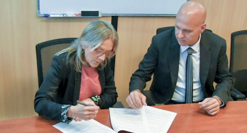 Texto descriptivo de la imagen