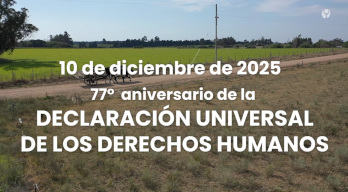 Texto descriptivo de la imagen