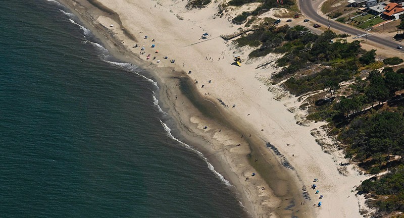 Texto descriptivo de la imagen