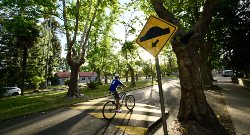 Texto descriptivo de la imagen