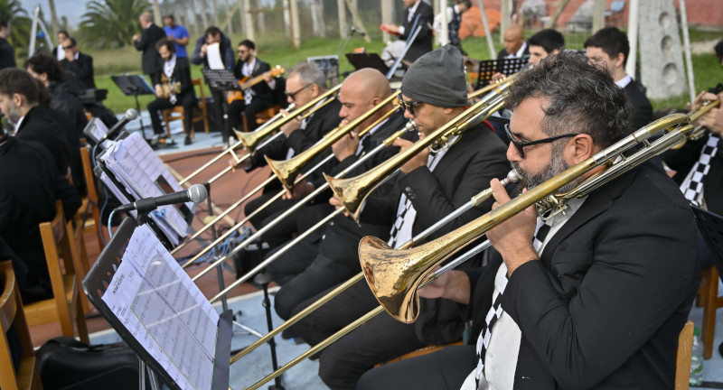 Texto descriptivo de la imagen