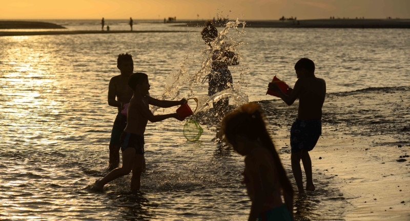 Texto descriptivo de la imagen