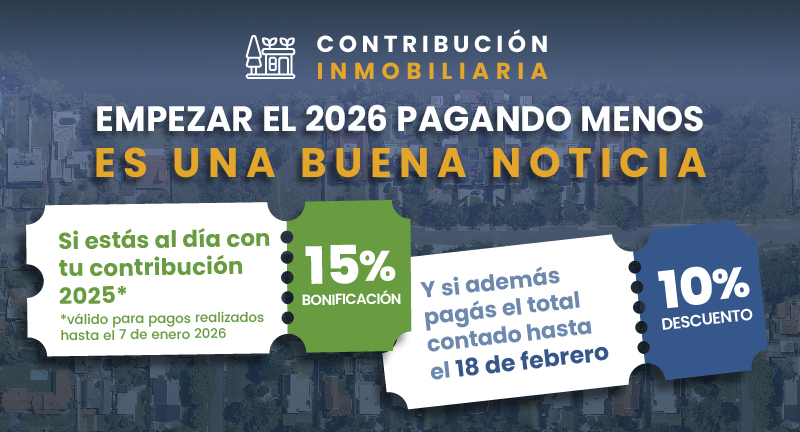 Texto descriptivo de la imagen