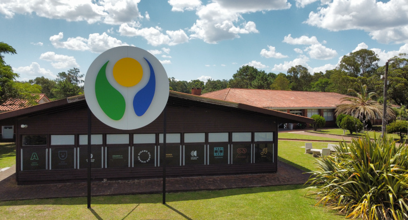 Texto descriptivo de la imagen