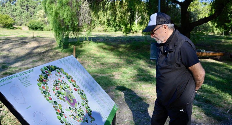 Texto descriptivo de la imagen