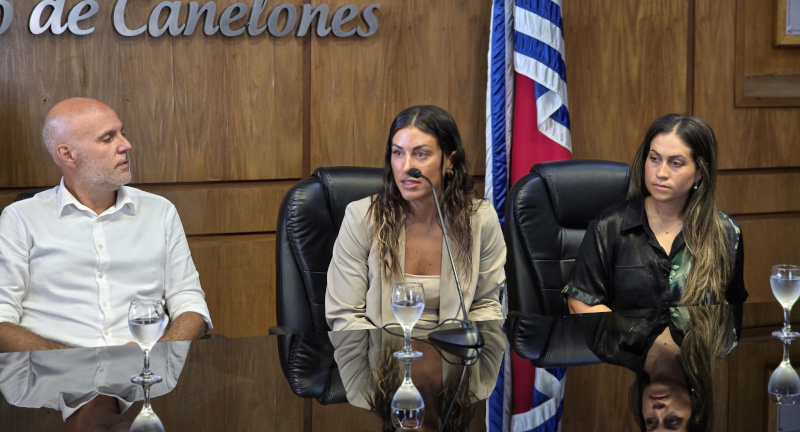 Texto descriptivo de la imagen