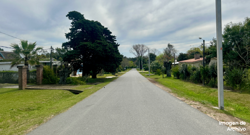 Texto descriptivo de la imagen