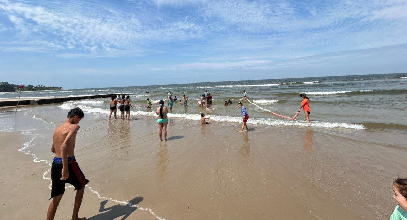 Texto descriptivo de la imagen