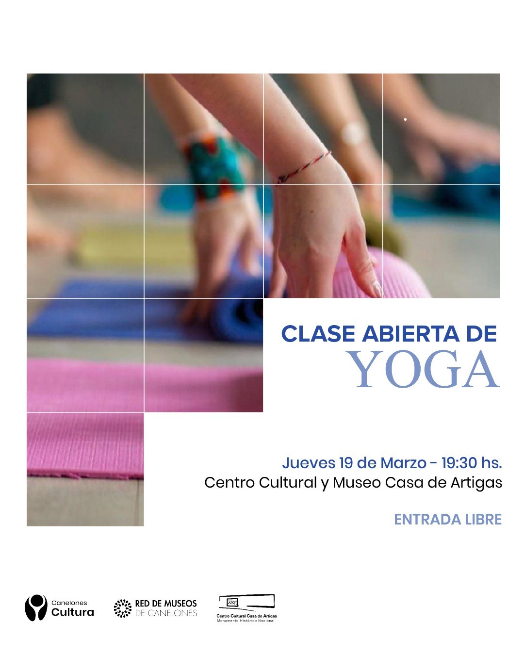 Texto descriptivo de la imagen