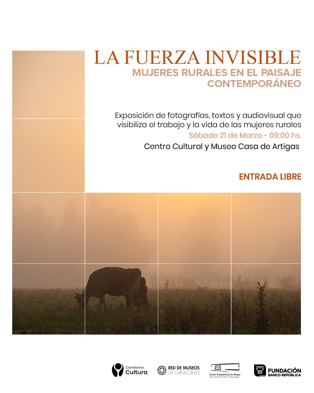 Texto descriptivo de la imagen