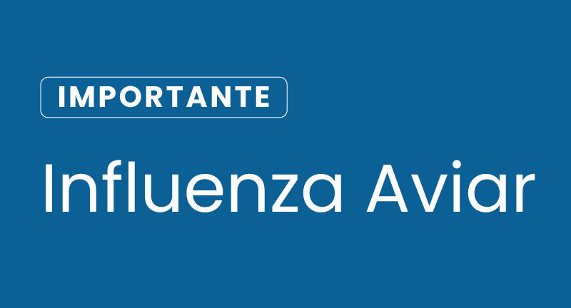 Texto descriptivo de la imagen