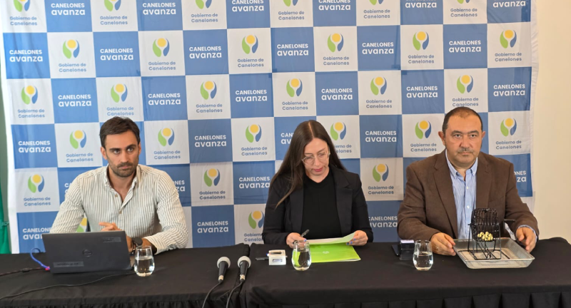 Texto descriptivo de la imagen