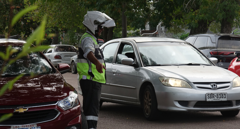 Texto descriptivo de la imagen