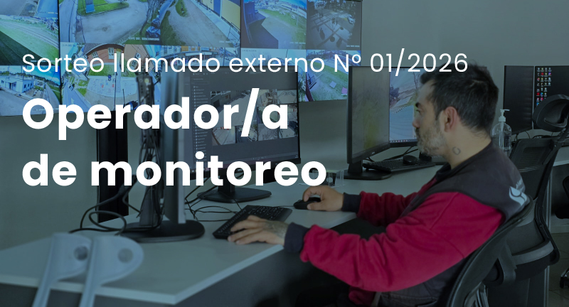 Texto descriptivo de la imagen