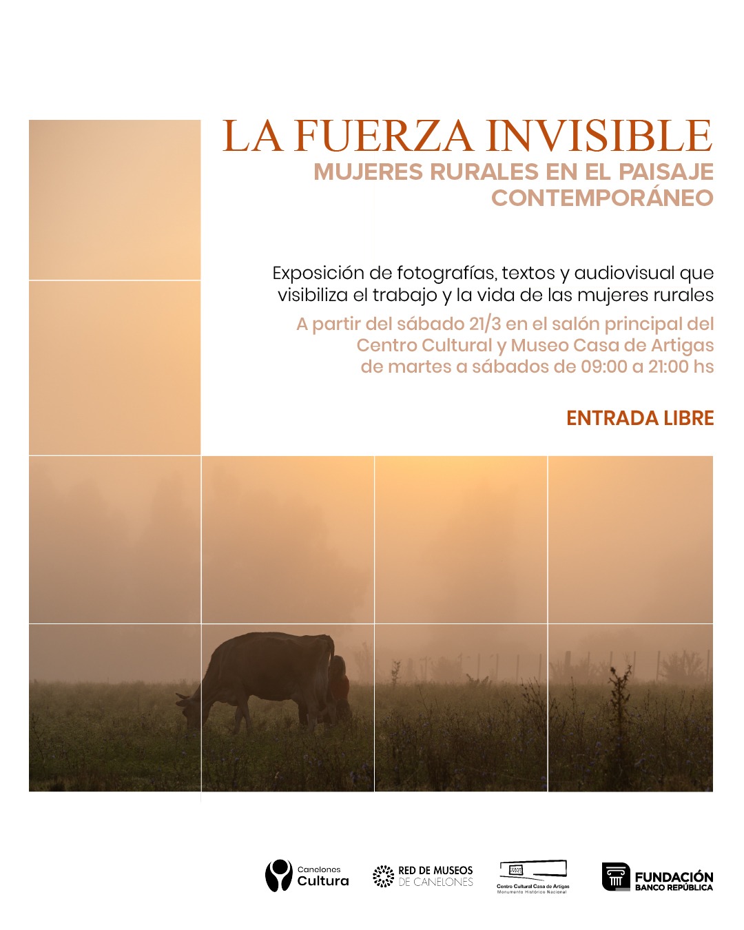 Texto descriptivo de la imagen