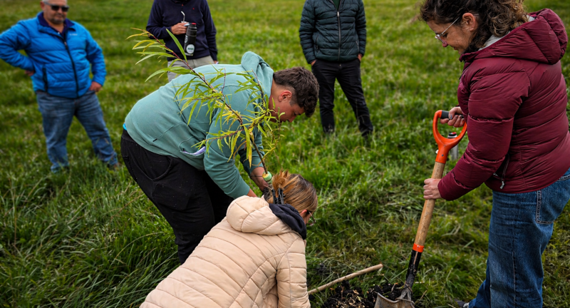 Texto descriptivo de la imagen