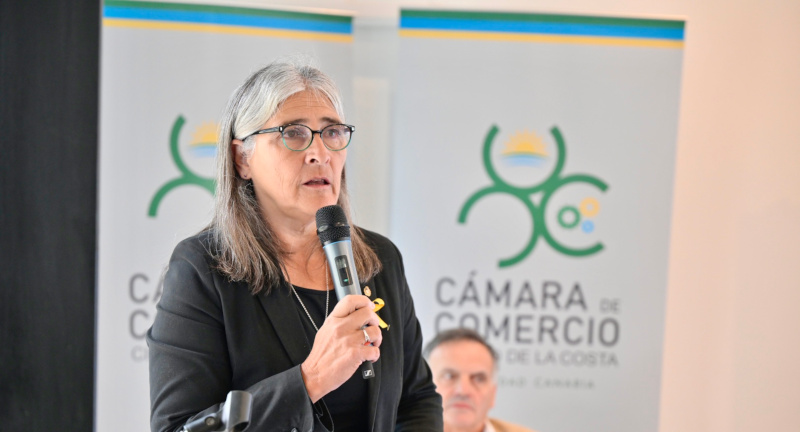 Texto descriptivo de la imagen