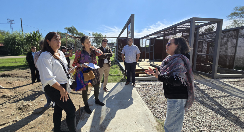 Texto descriptivo de la imagen