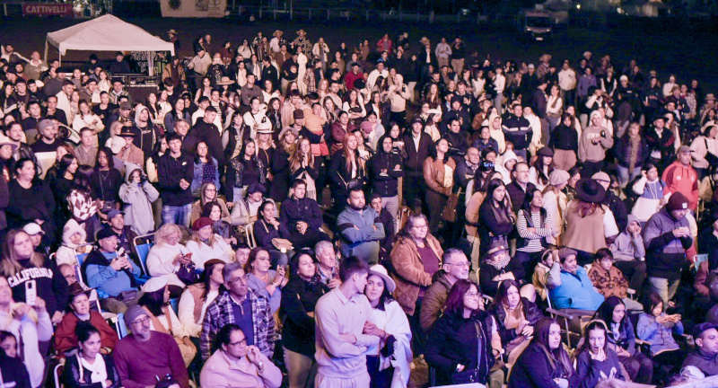 Texto descriptivo de la imagen