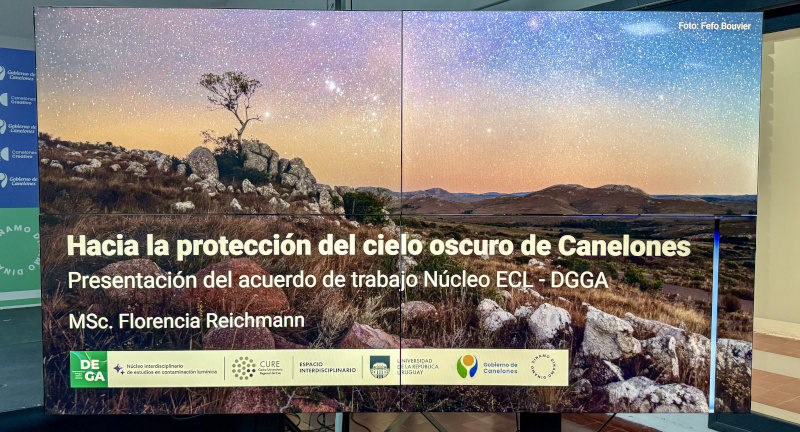 Texto descriptivo de la imagen