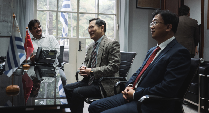 Texto descriptivo de la imagen