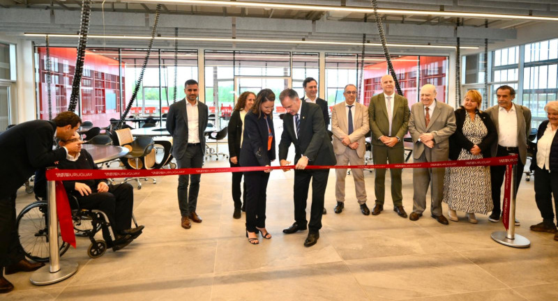 Texto descriptivo de la imagen