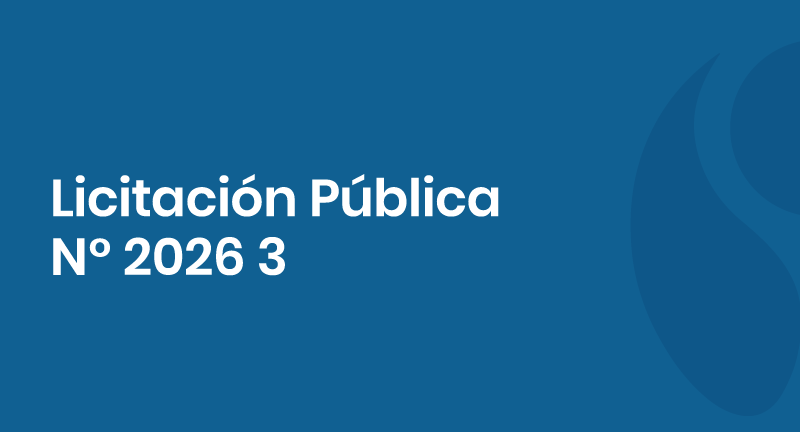 Texto descriptivo de la imagen