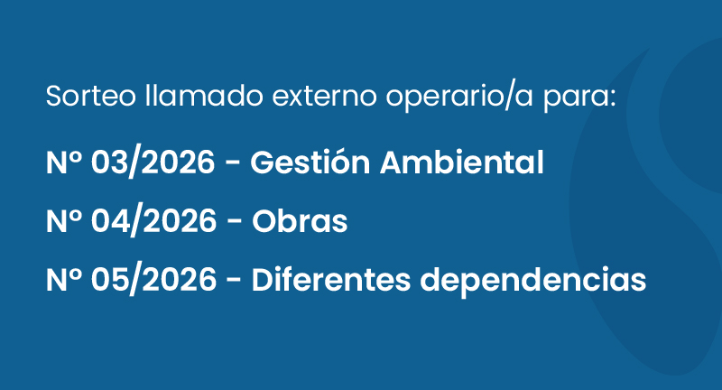 Texto descriptivo de la imagen