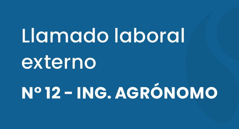 Texto descriptivo de la imagen