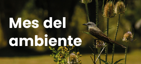 Junio: Mes del Ambiente en Canelones 