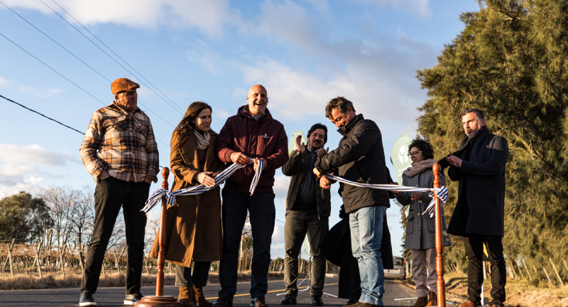 Texto descriptivo de la imagen